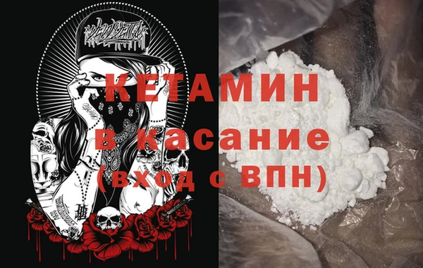 гашик Алексин
