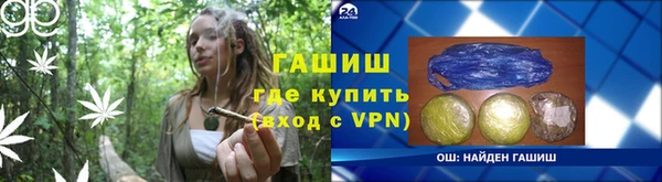 гашик Алексин