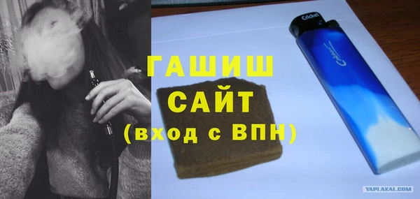 гашик Алексин