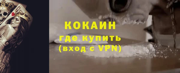 гашик Алексин