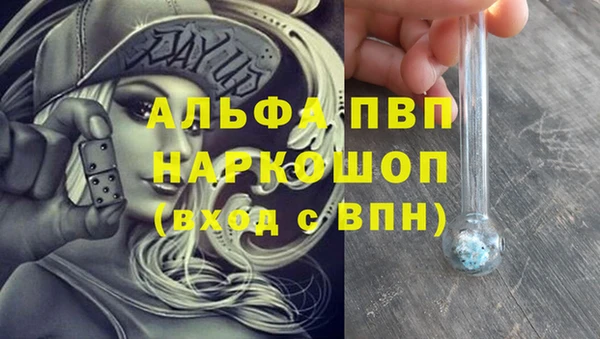 гашик Алексин