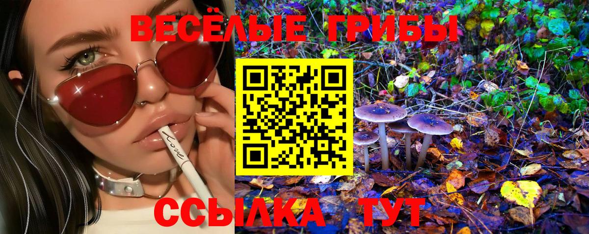 Галлюциногенные грибы MAGIC MUSHROOMS Кудрово