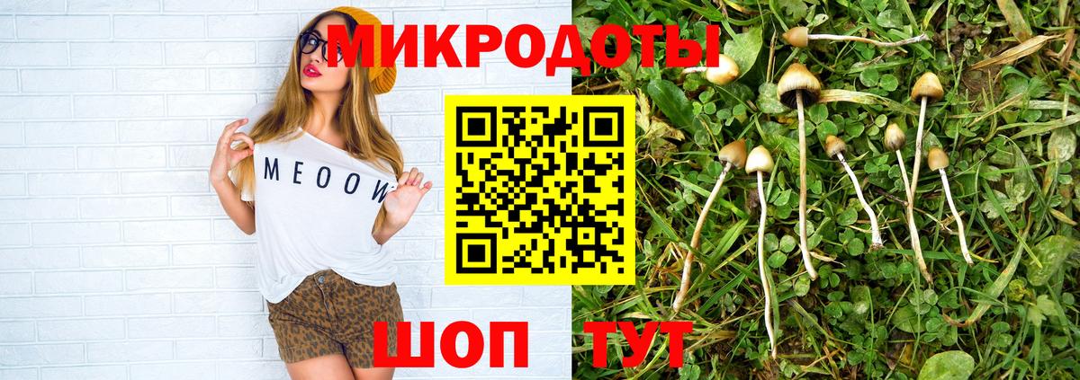 Галлюциногенные грибы Psilocybine cubensis  купить   Кудрово  Вход с VPN 