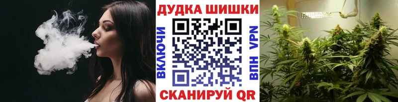 Конопля Bruce Banner  Кудрово 