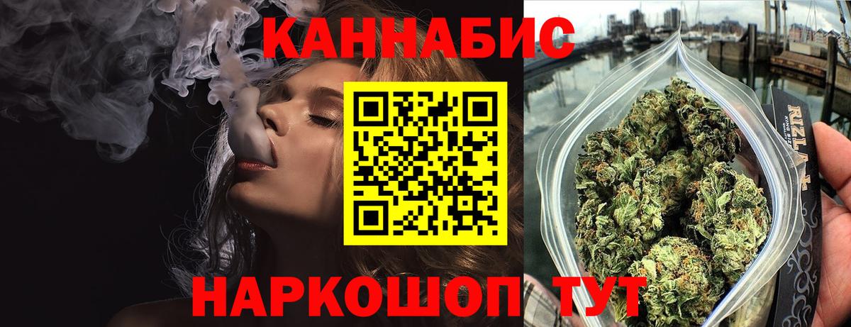 Канабис сатива Кудрово