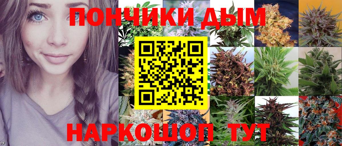 Канабис семена  Конопля планчик  Вход с VPN  Кудрово  Бошки марихуана ГИДРОПОН  Шишки марихуана план 